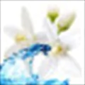 Orange Flower Water
